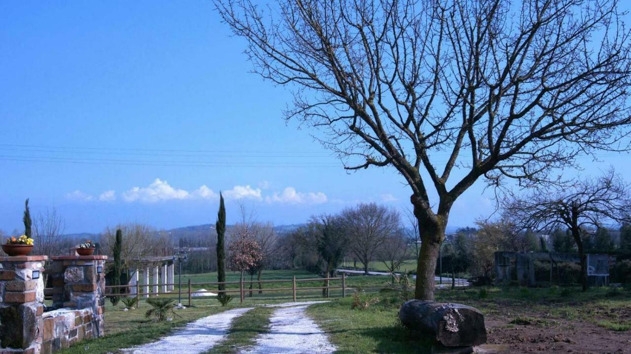 Agriturismo San Marco Dragoni  エクステリア 写真
